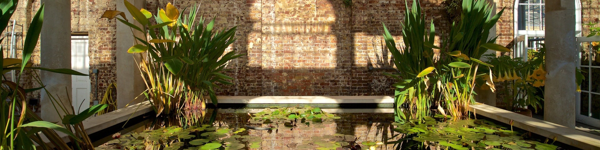 Syon Park featuring a pond