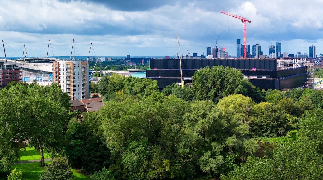 Estadio Etihad Stadium