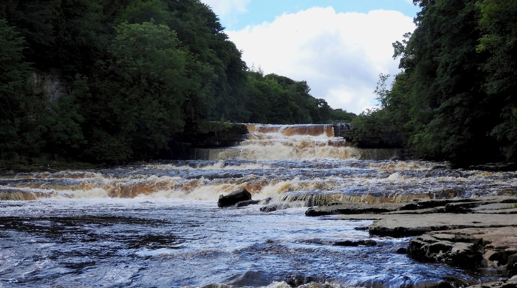 Aysgarth Falls are a triple flight of waterfalls, surrounded by forest and farmland, carved out by the River Ure over an almost one-mile stretch near the village of Aysgarth. The Falls have attracted visitors for over 200 years. The upper and middle fall was featured in the film Robin Hood: Prince of Thieves.
#LikeALocal
#GreatOutdoors Photo