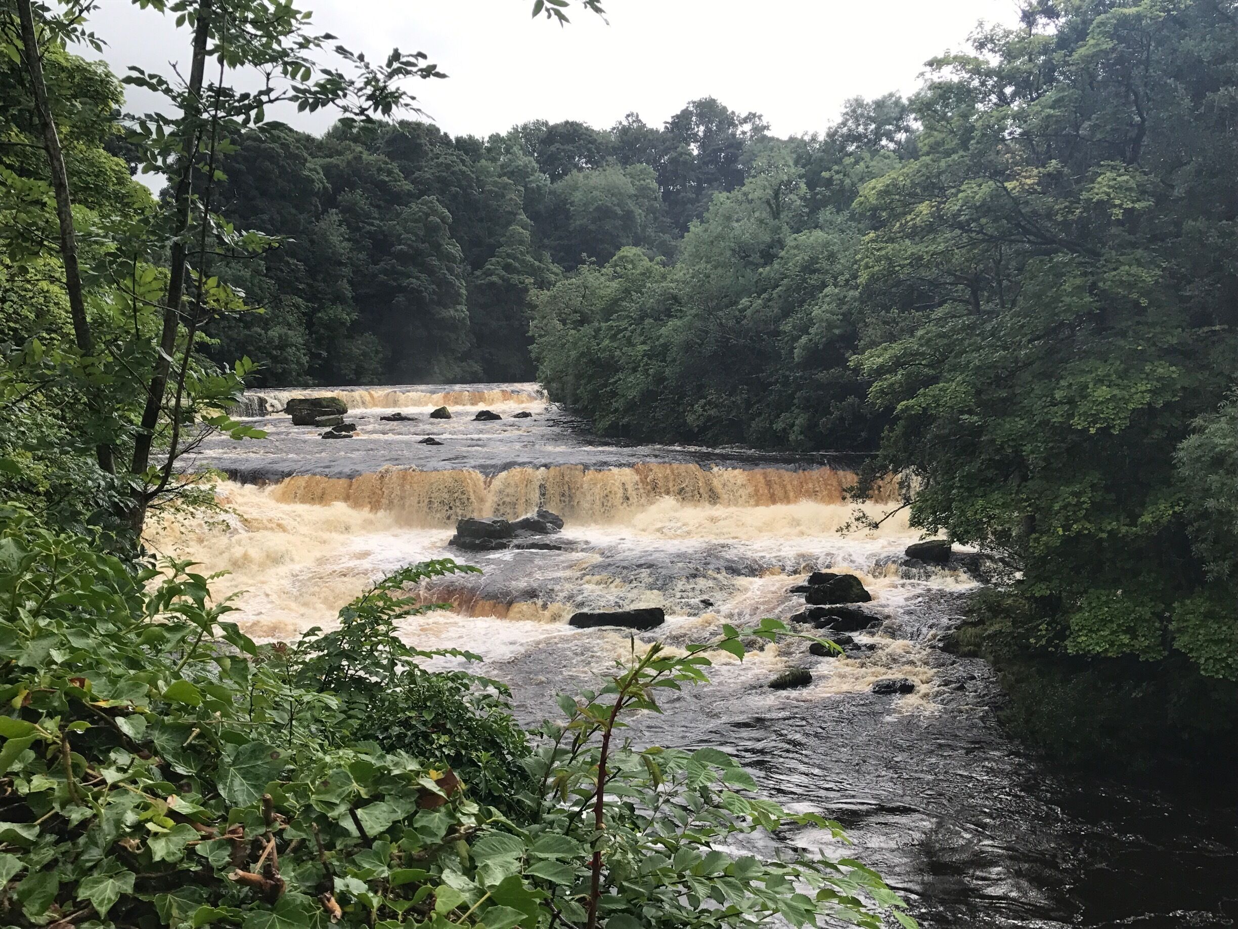 Aysgarth falls
