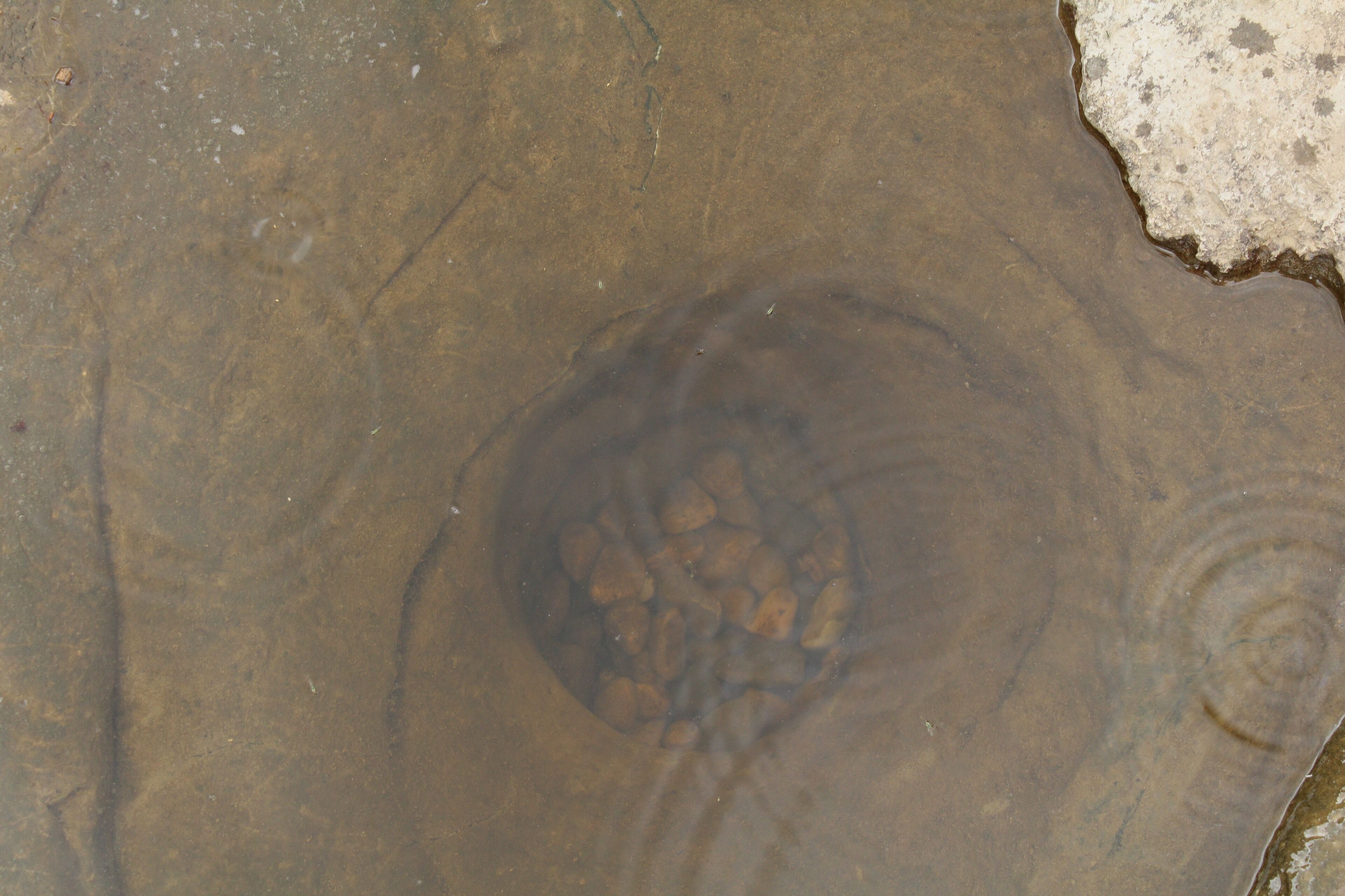 Lovely waterfall nice clear water for close up pictures