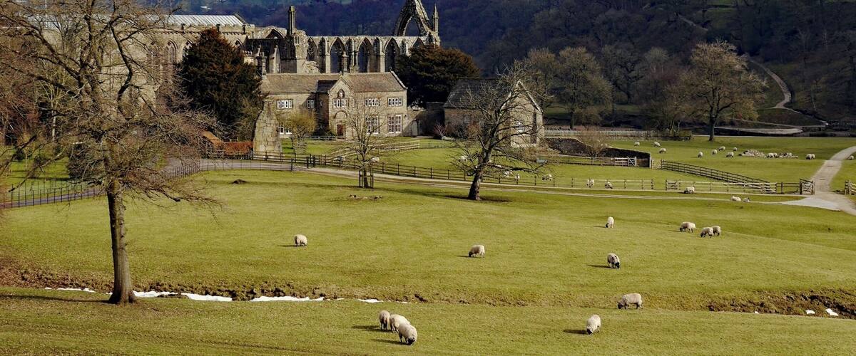 Another view. Bolton Abbey is an estate in Wharfedale in North Yorkshire, England. It takes its name from the ruins of the 12th-century Augustinian monastery, shown here, which is now generally known as Bolton Priory. The estate in the Yorkshire Dales is open to visitors, and includes many miles of all-weather walking routes.