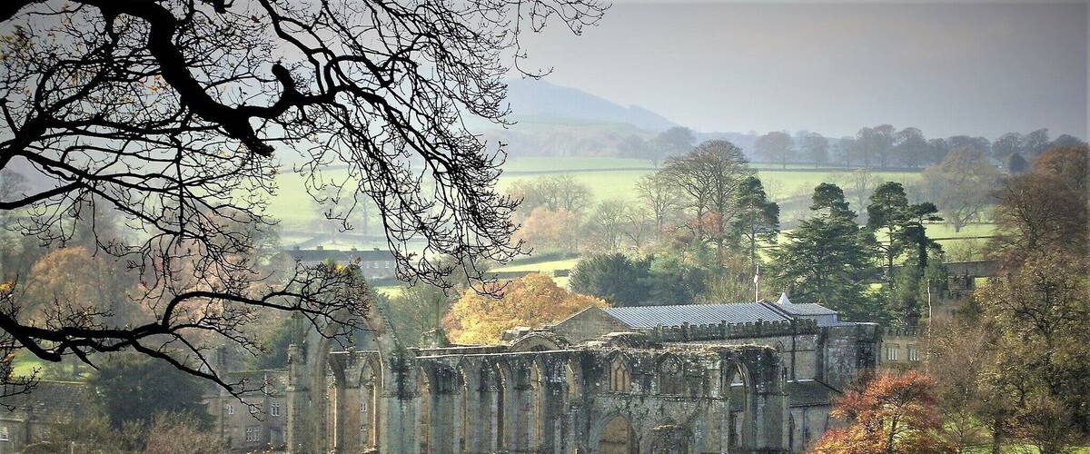 A closer view of Bolton Priory from the path above.
#lifeatexpedia #Green #Troveon #StunningStructure #Architecture #GoldenHour #Treetrove #Parks #aboveitall #History