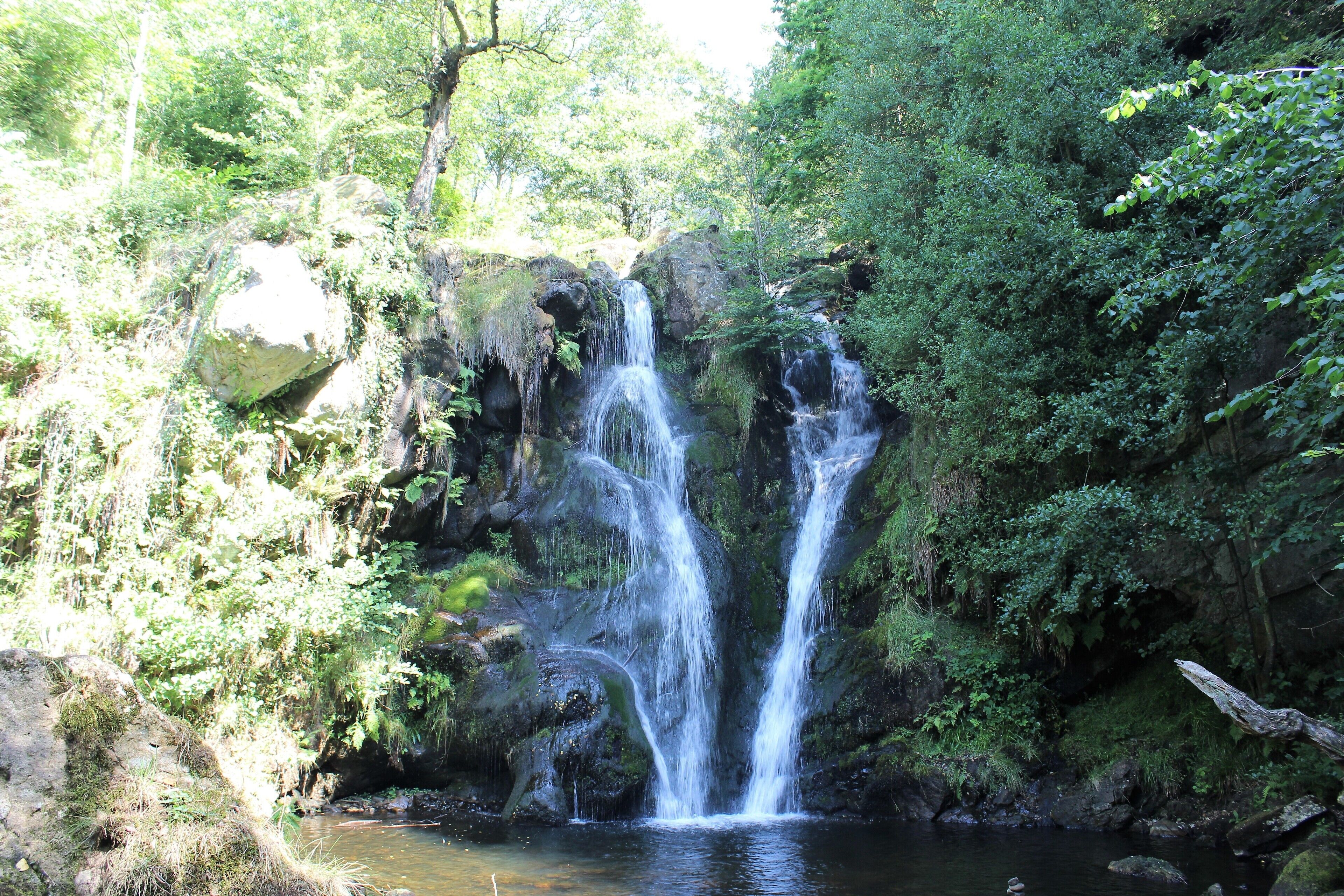 This is the waterfall at the Valley of Desolation near Bolton Abbey in north Yorkshire. It owes its name to the Great Storm of 1826. Today it is a tranquil beauty spot on the path from the Augustinian Bolton Priory towards Simon's seat on Barden moor.
