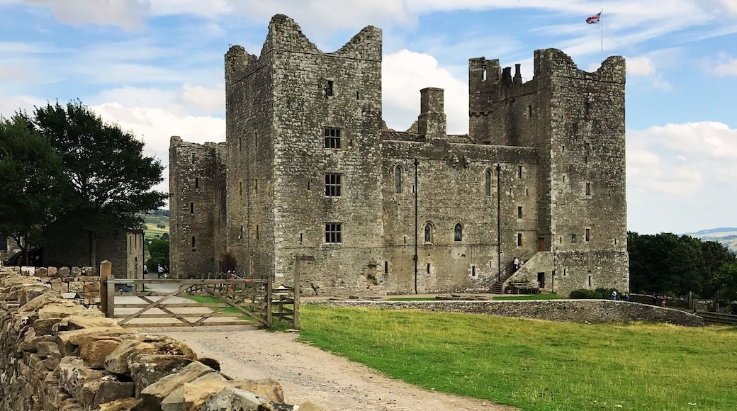 It’s expensive but nice