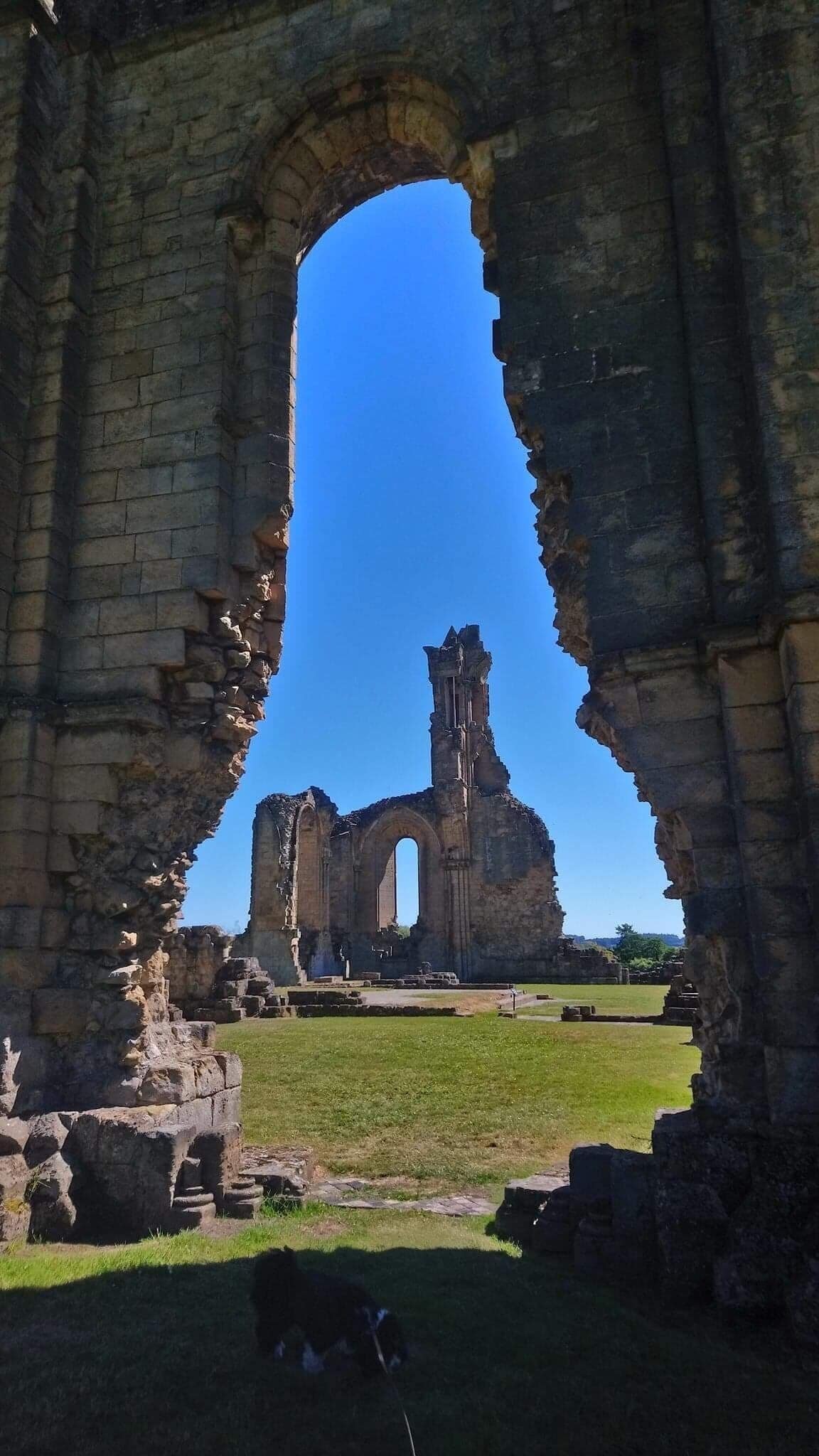 Ruins of 1 of the largest Abbeys in North Yorkshire. Just off the A19 near Thirsk. Well worth a visit. It’s a National Trust site but free admission to all. Nearby lovely cafe that serves great cakes and coffee.