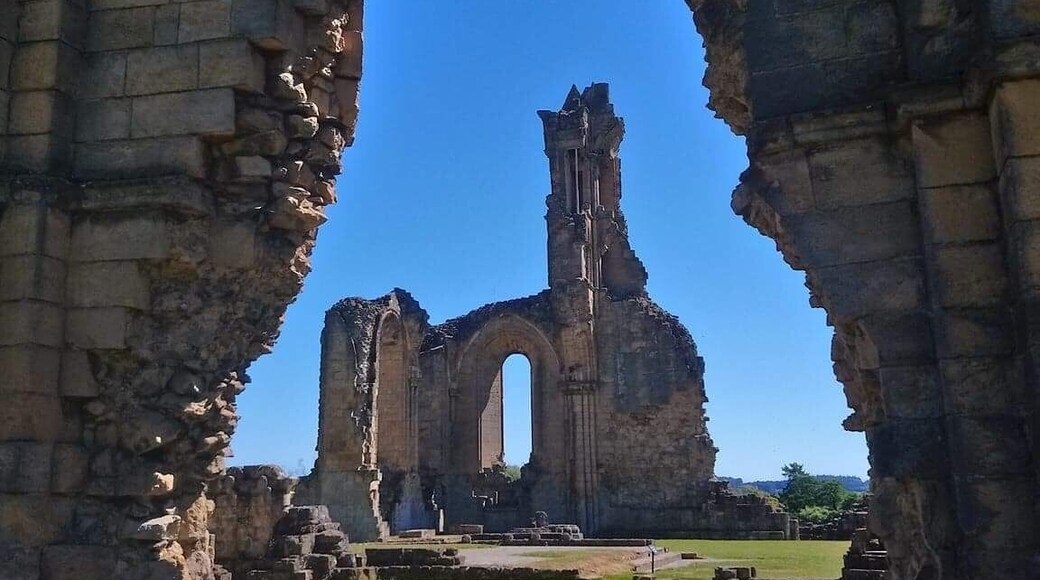 Ruins of 1 of the largest Abbeys in North Yorkshire. Just off the A19 near Thirsk. Well worth a visit. Itâs a National Trust site but free admission to all. Nearby lovely cafe that serves great cakes and coffee.