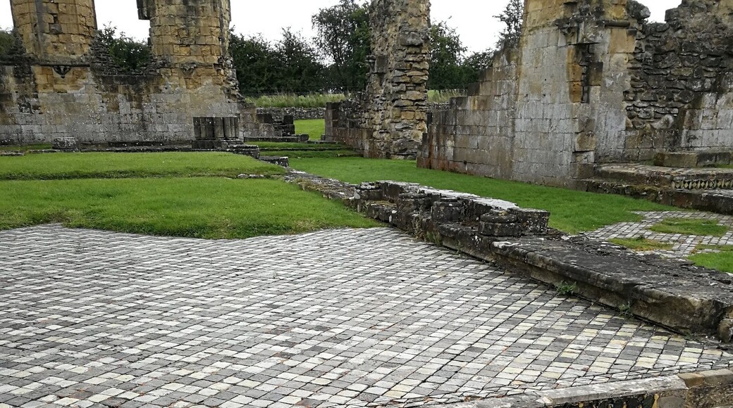 The Abbey has a number of areas where the original tiled floor is still in situ. This is a fine example, but by no means the best; the discovery of the floor was what really impressed me about Byland.