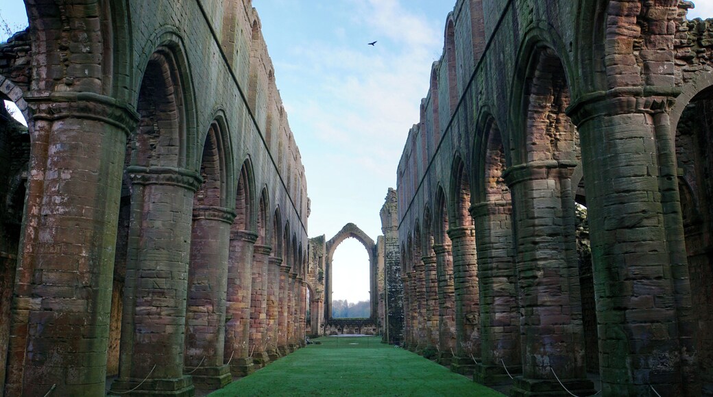 At Fountains Abbey, nr Ripley, North Yorkshire, UK (Jan 2017).
