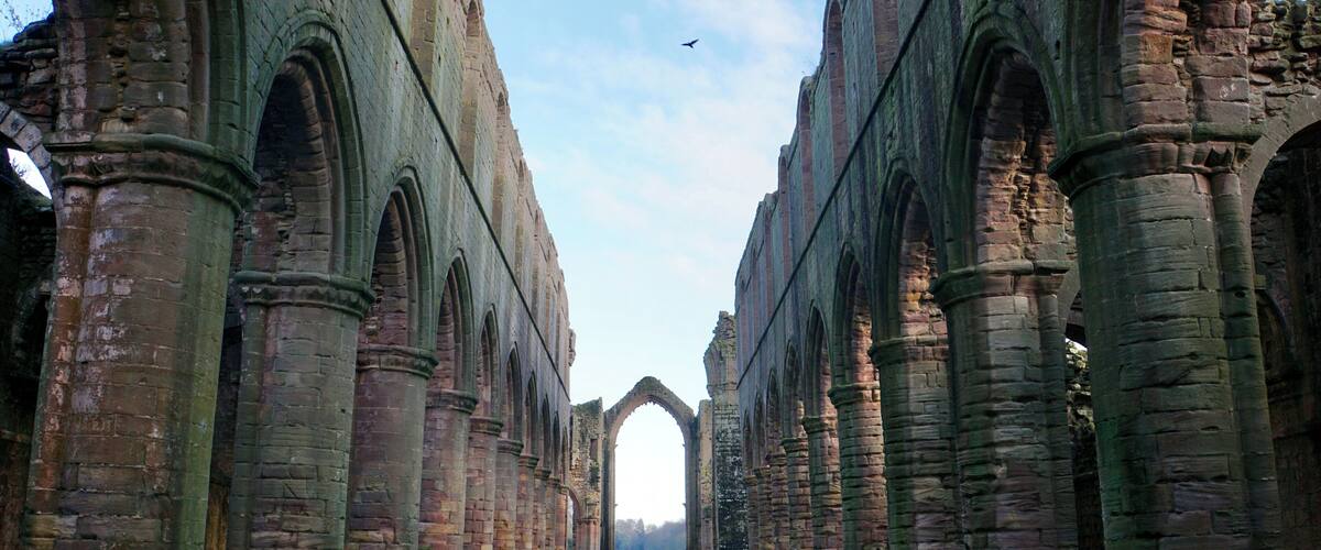 At Fountains Abbey, nr Ripley, North Yorkshire, UK (Jan 2017).