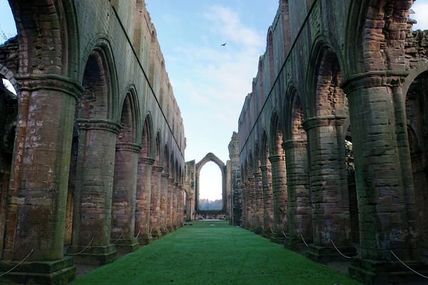 At Fountains Abbey, nr Ripley, North Yorkshire, UK (Jan 2017).