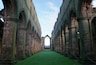 At Fountains Abbey, nr Ripley, North Yorkshire, UK (Jan 2017).