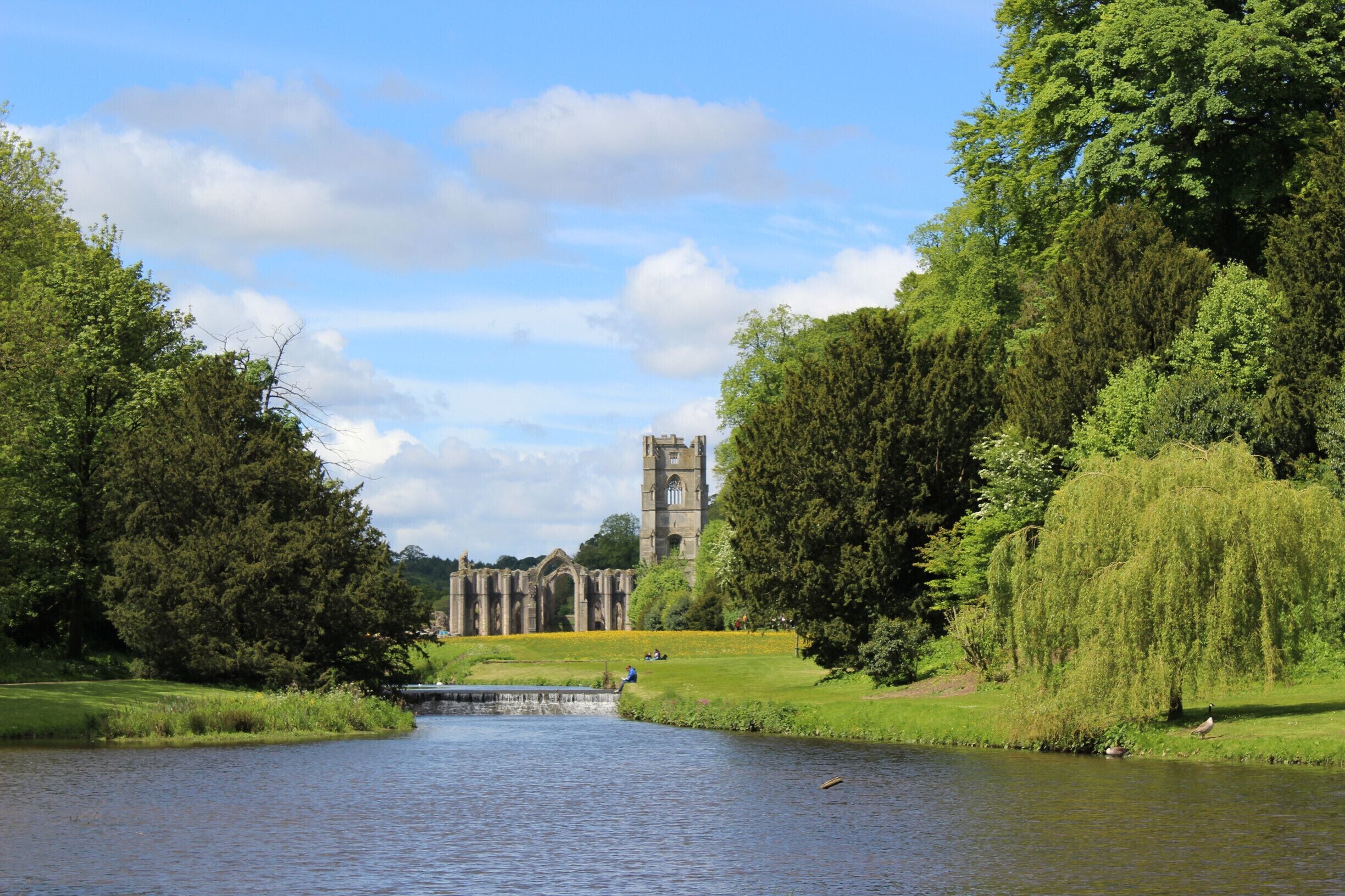 fountains abbey is located in Ripon in north Yorkshire. the abbey was destroyed by Henry the 8th. and his second wife had her own private view point of the abbey which is located in the studley royal grounds which are located on the same site and a short walk from the abbey #blue