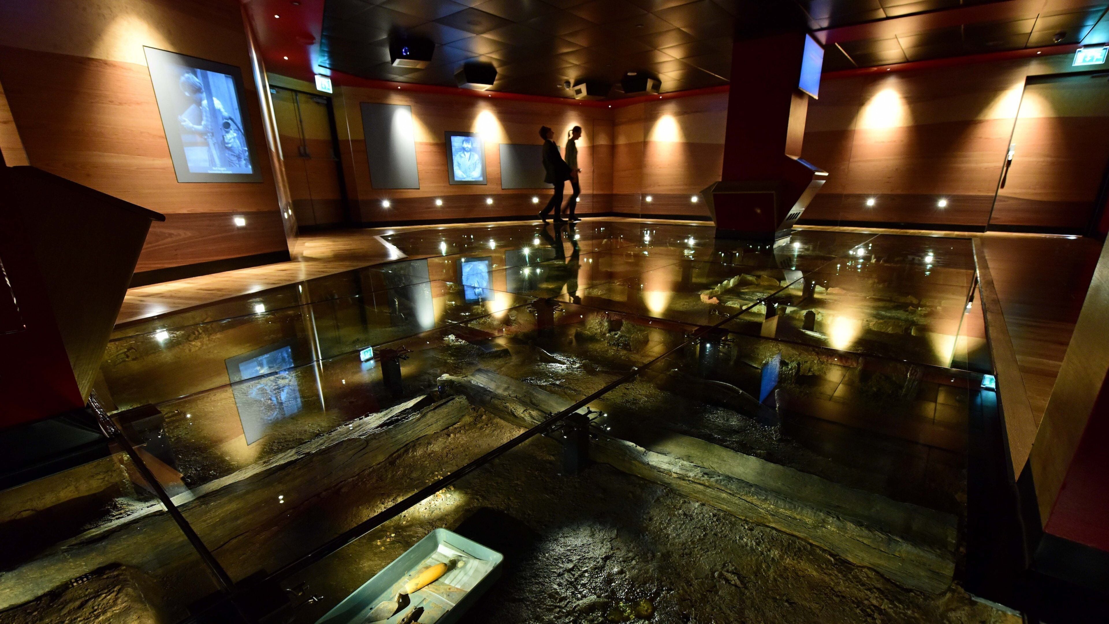 Jorvik Viking Centre which includes interior views