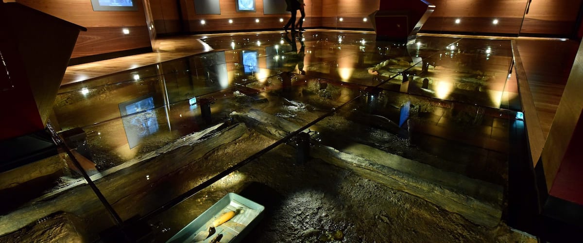 Jorvik Viking Centre which includes interior views