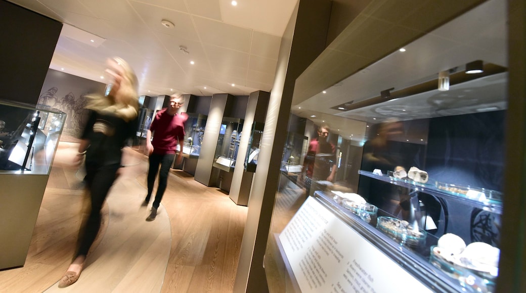 Jorvik Viking Centre featuring interior views