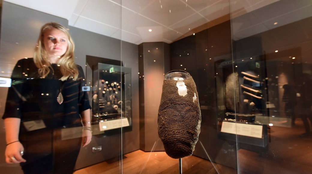 Jorvik Viking Centre featuring heritage elements and interior views as well as an individual femail