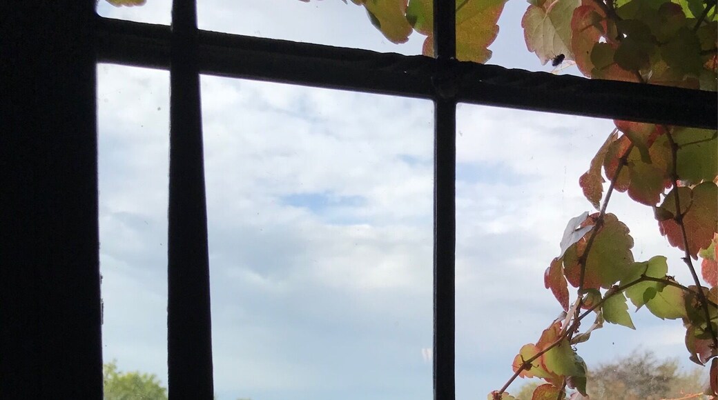 View out of the window of the house at Mount Grace Priory looking towards the beautiful gardens. This is an English Heritage site.