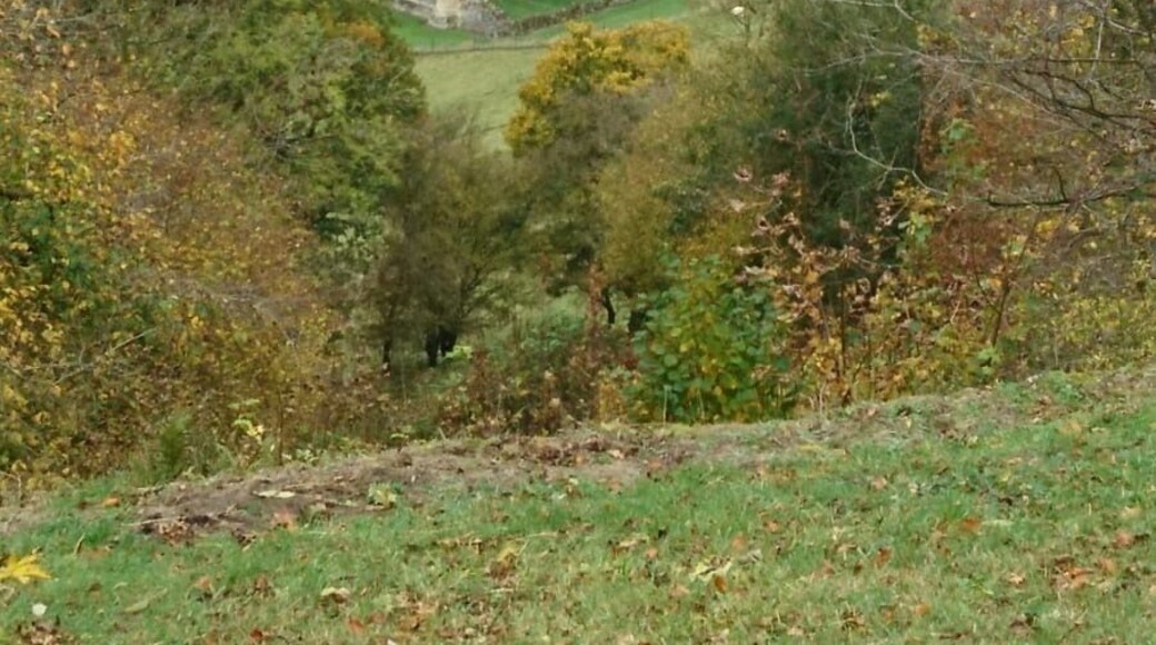 Lovely view from the National Trust owned Rievaulx terrace and temples.