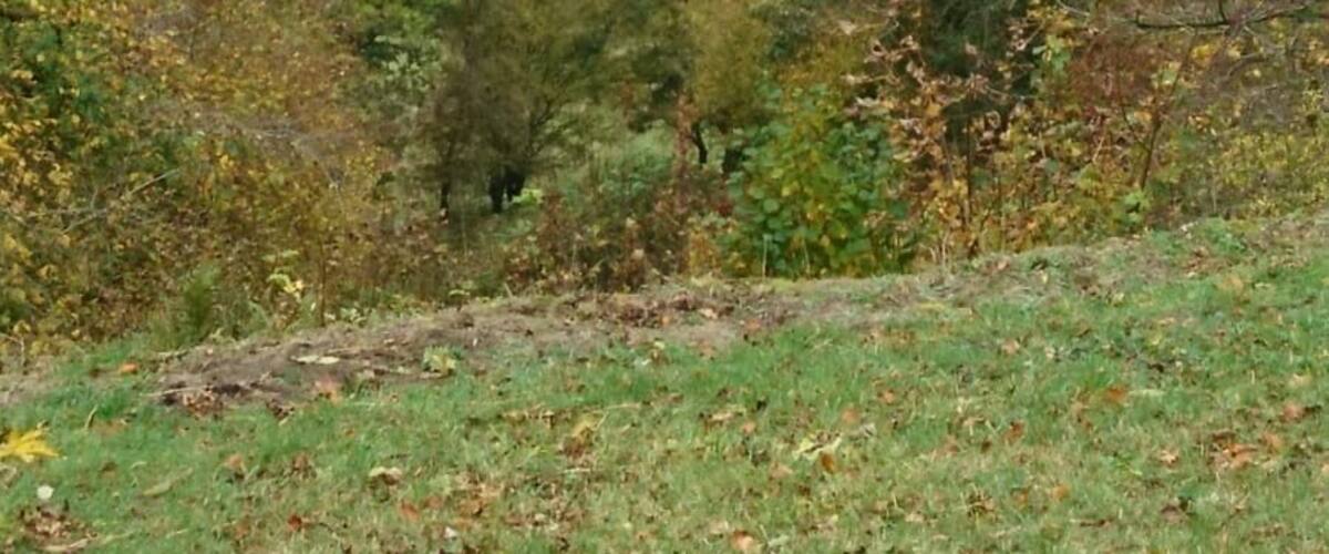 Lovely view from the National Trust owned Rievaulx terrace and temples.