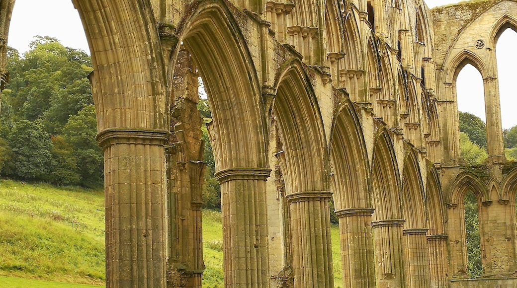 Rievaulx Abbey is a striking, and surprisingly complete, example of a 10th Century Cistercian Abbey. The ruined building and the incredible countryside created an awe-inspiring scene.