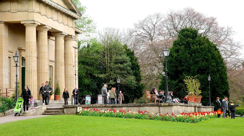 St. Mary\'s Abbey som inkluderer hage, kirke eller katedral og historisk arkitektur