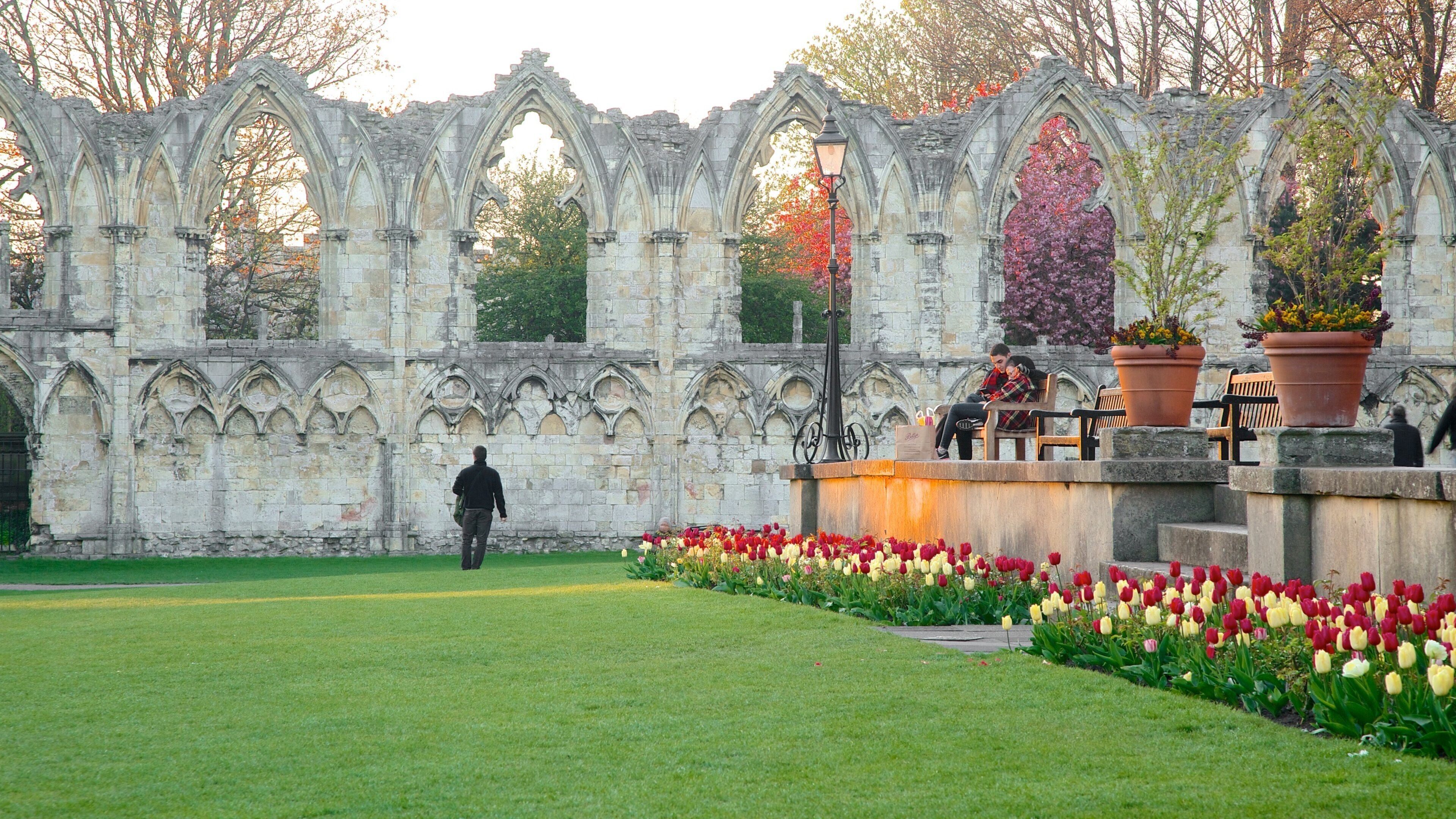 St. Mary\'s Abbey showing a park, heritage architecture and a ruin