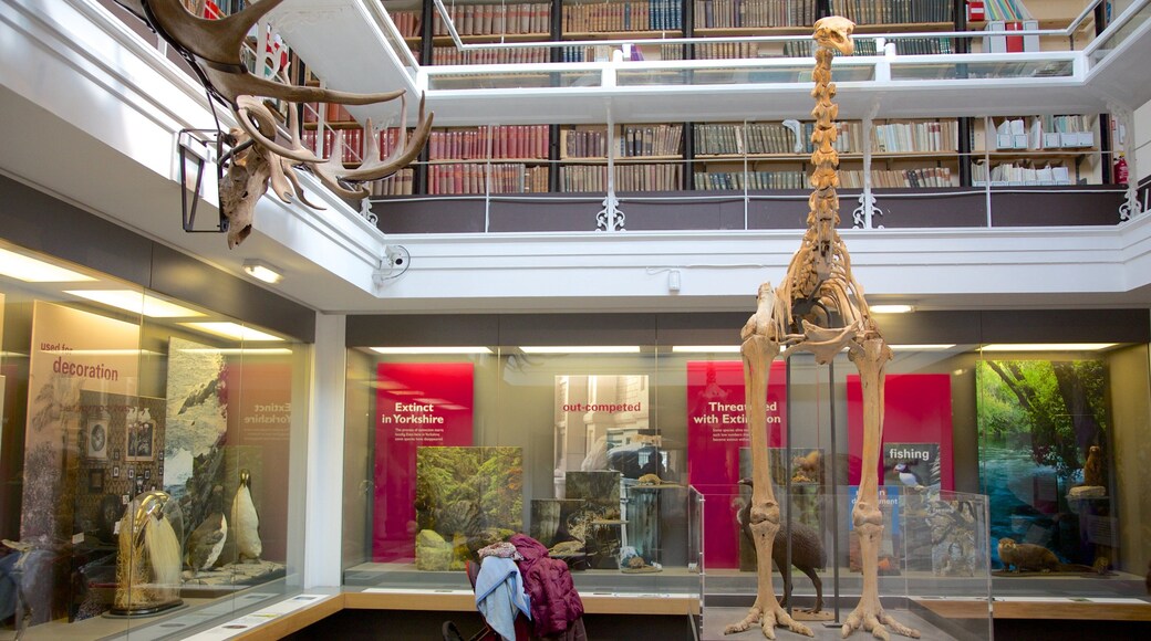Yorkshire Museum featuring interior views