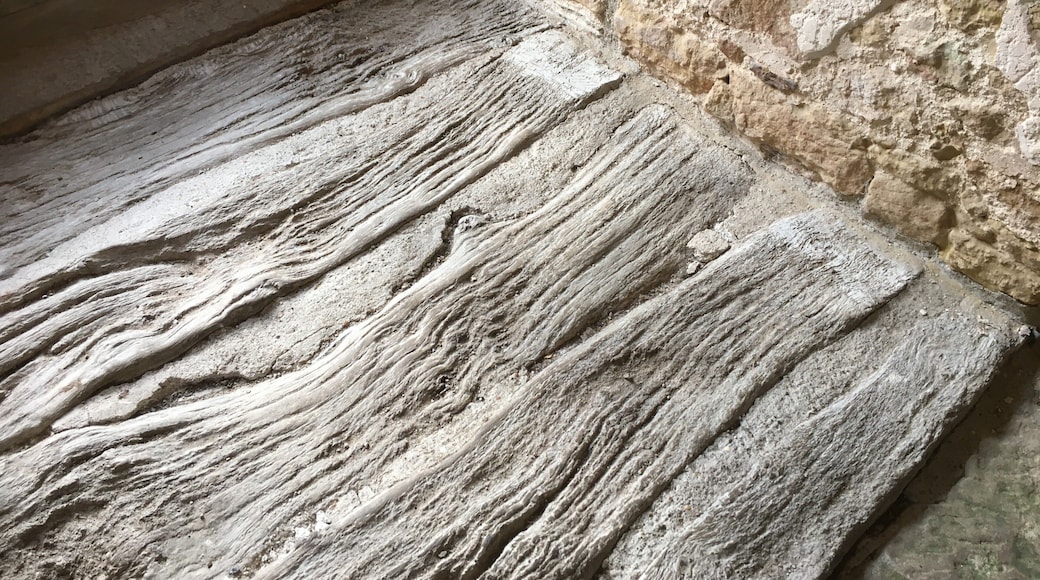 Well trodden floorboards