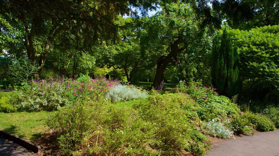 Royal Victoria Park featuring a park