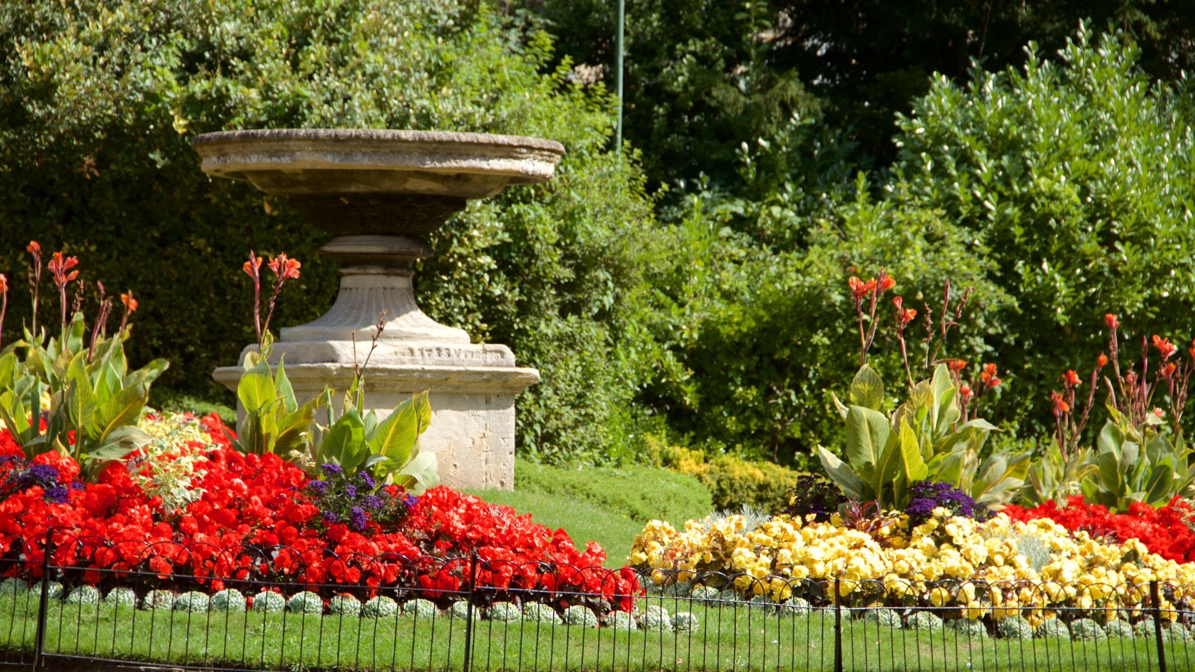 Royal Victoria Park showing a park and flowers