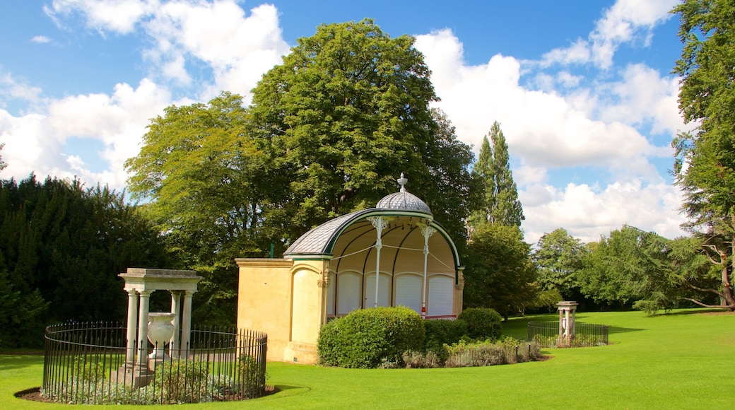 Royal Victoria Park which includes a garden
