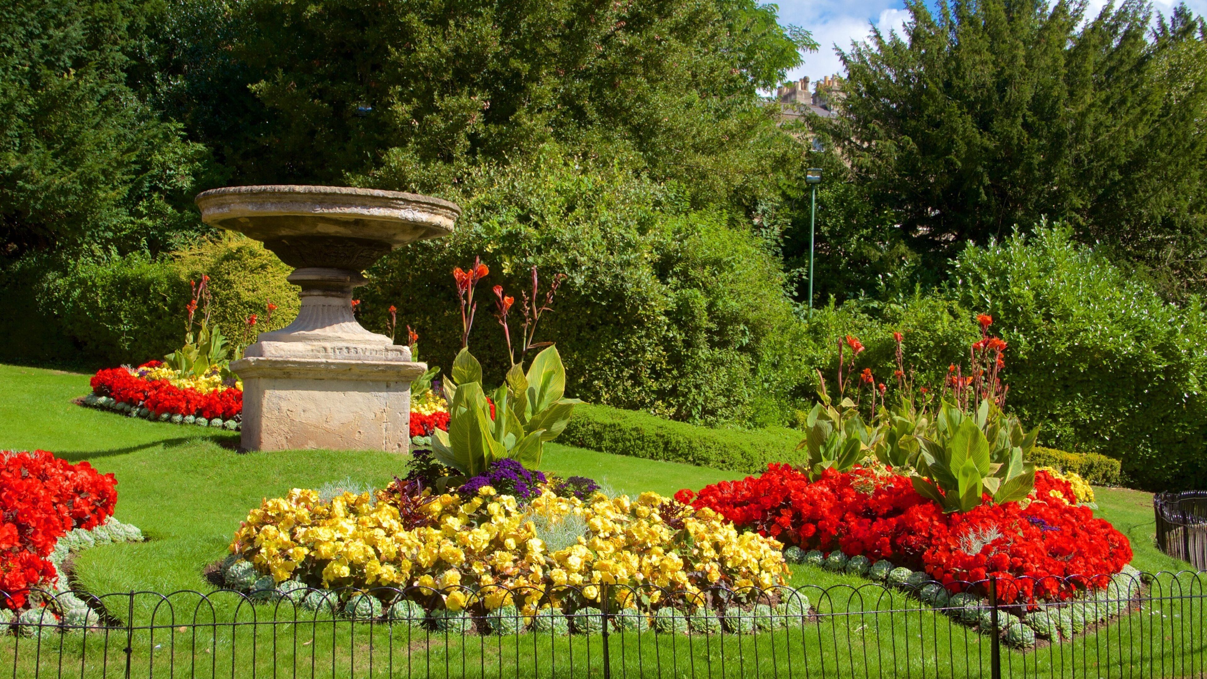 Royal Victoria Park which includes flowers and a garden