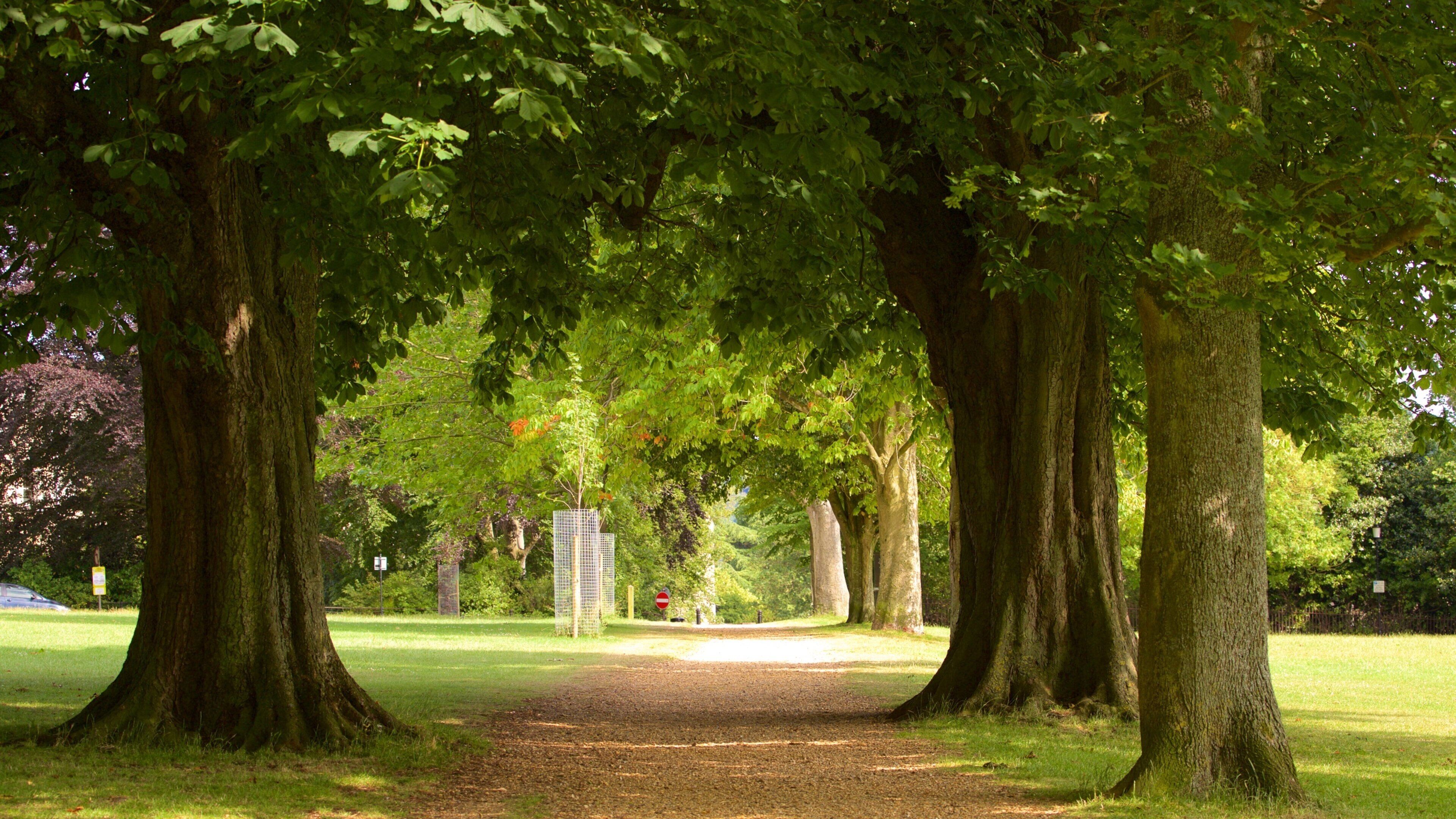 Royal Victoria Park featuring a garden