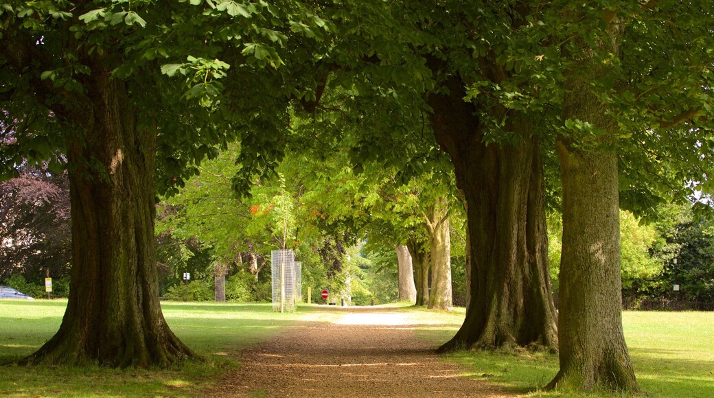 Royal Victoria Park featuring a garden