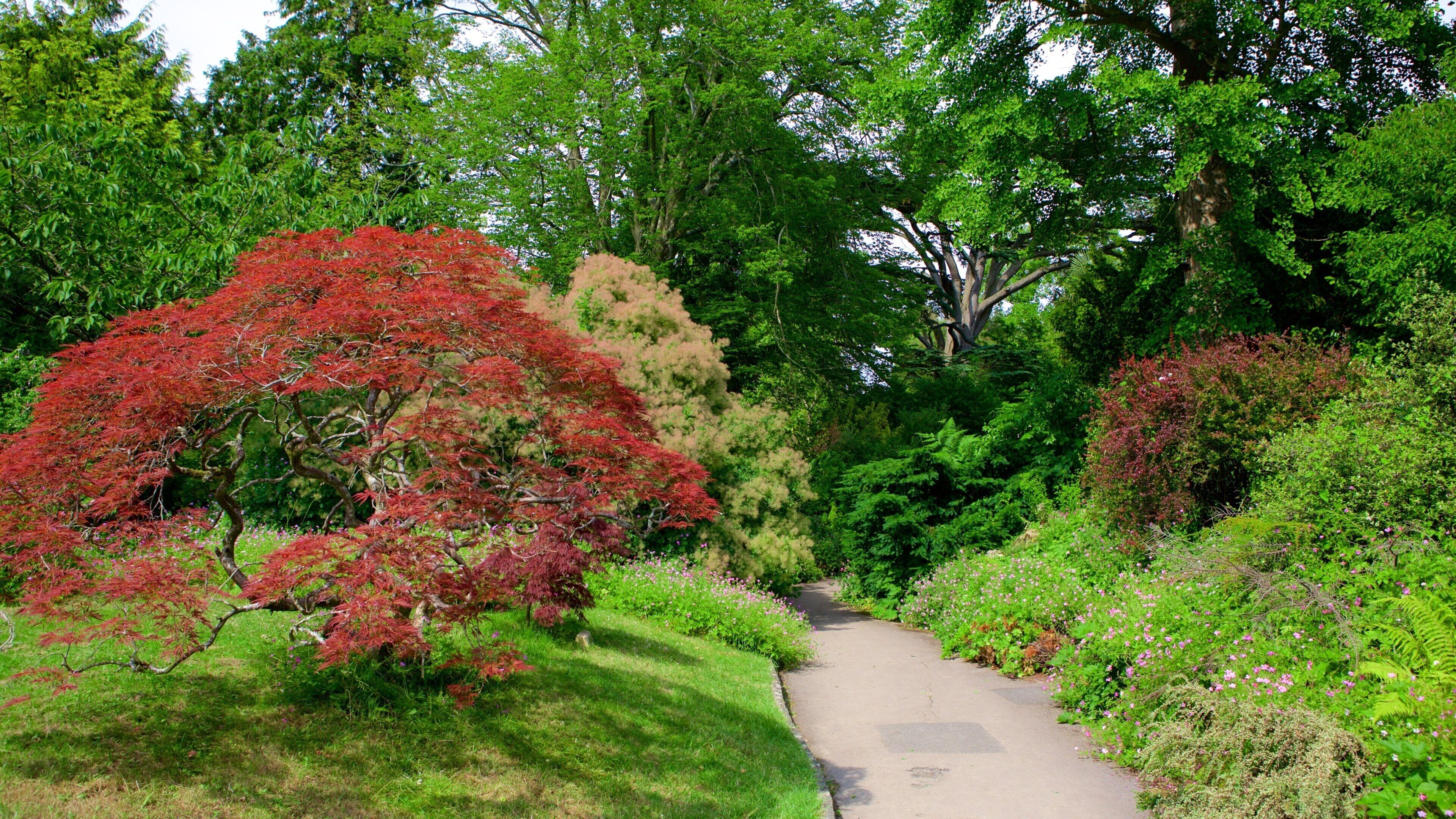 Royal Victoria Park showing a park