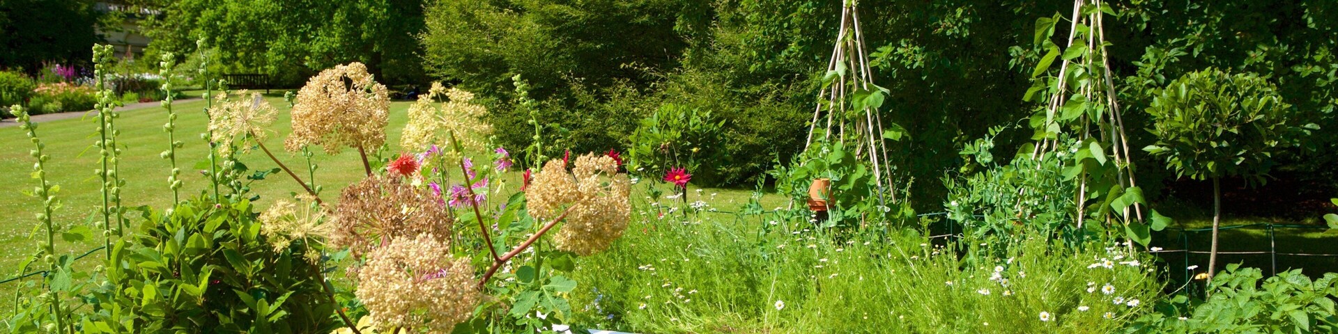 Royal Victoria Park mit einem Geschichtliches, Beschilderung und Garten