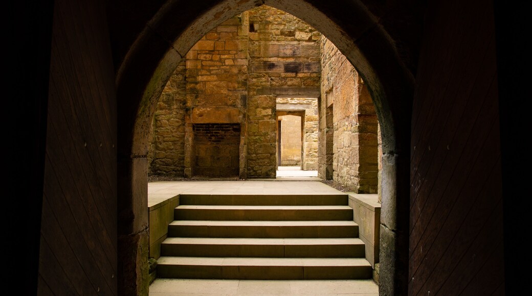 Belsay Hall, Castle and Gardens showing heritage elements
