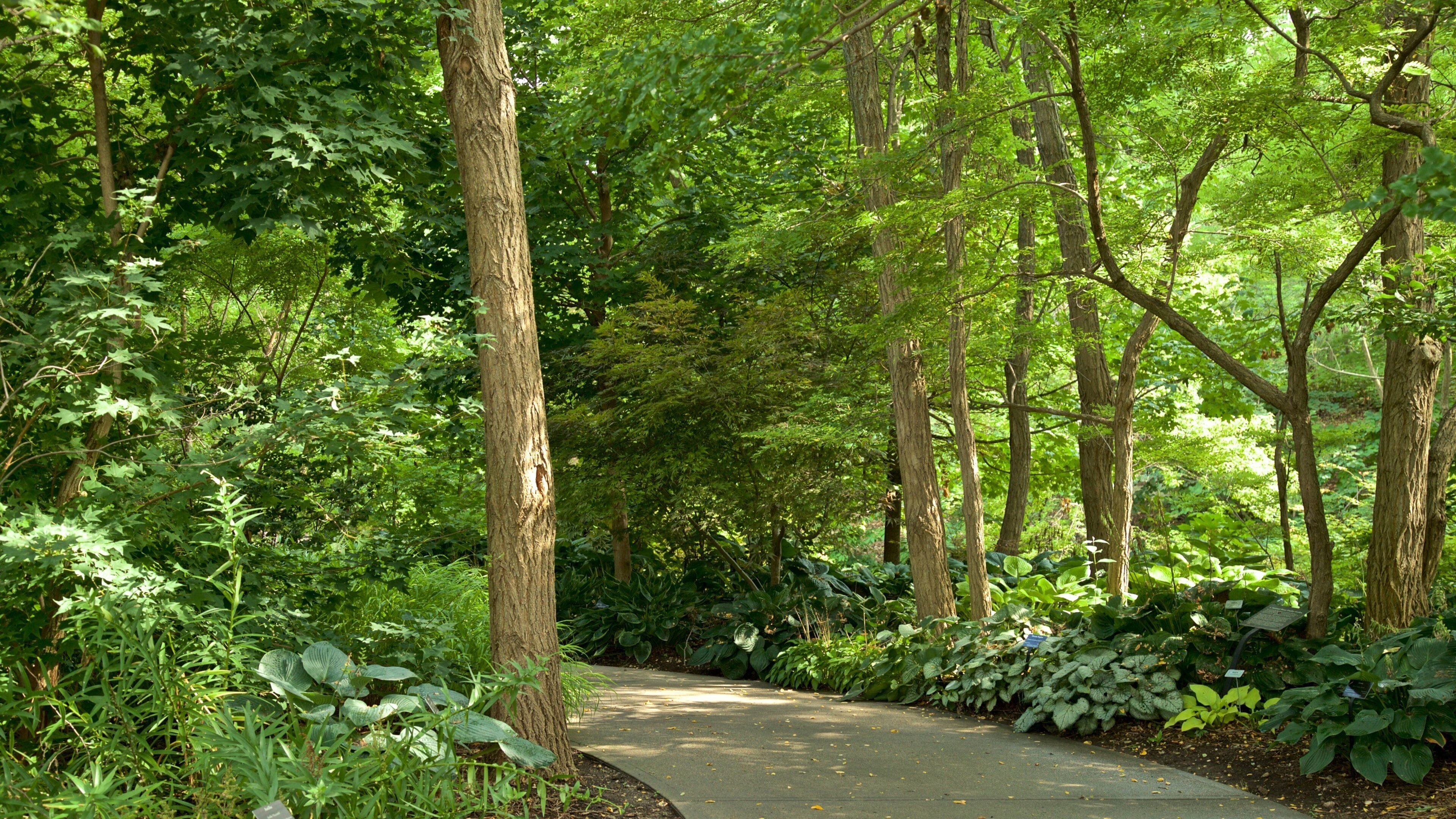 Lauritzen Gardens which includes a park