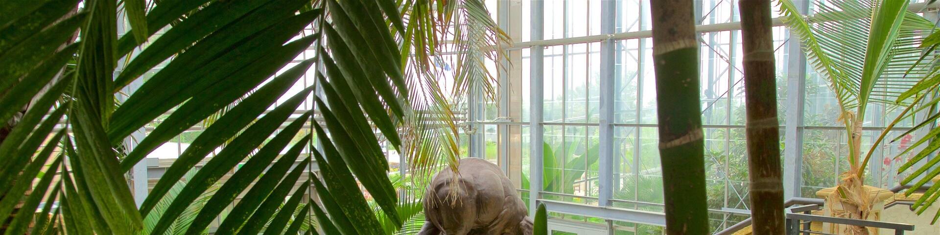 A glasshouse with a water feature, a statue of an elephant, and lush tropical plants.