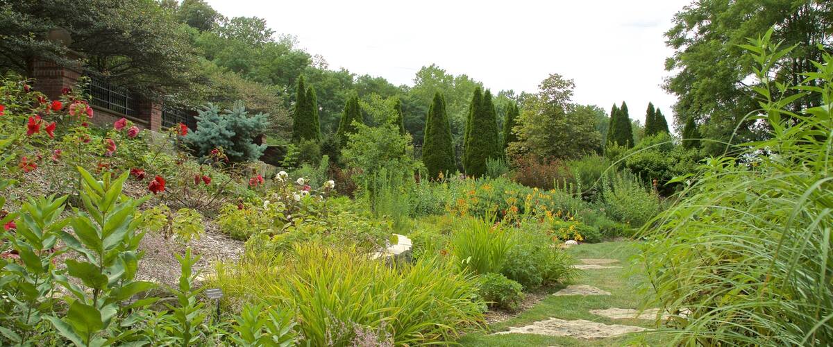 Lauritzen Gardens showing wildflowers and a park