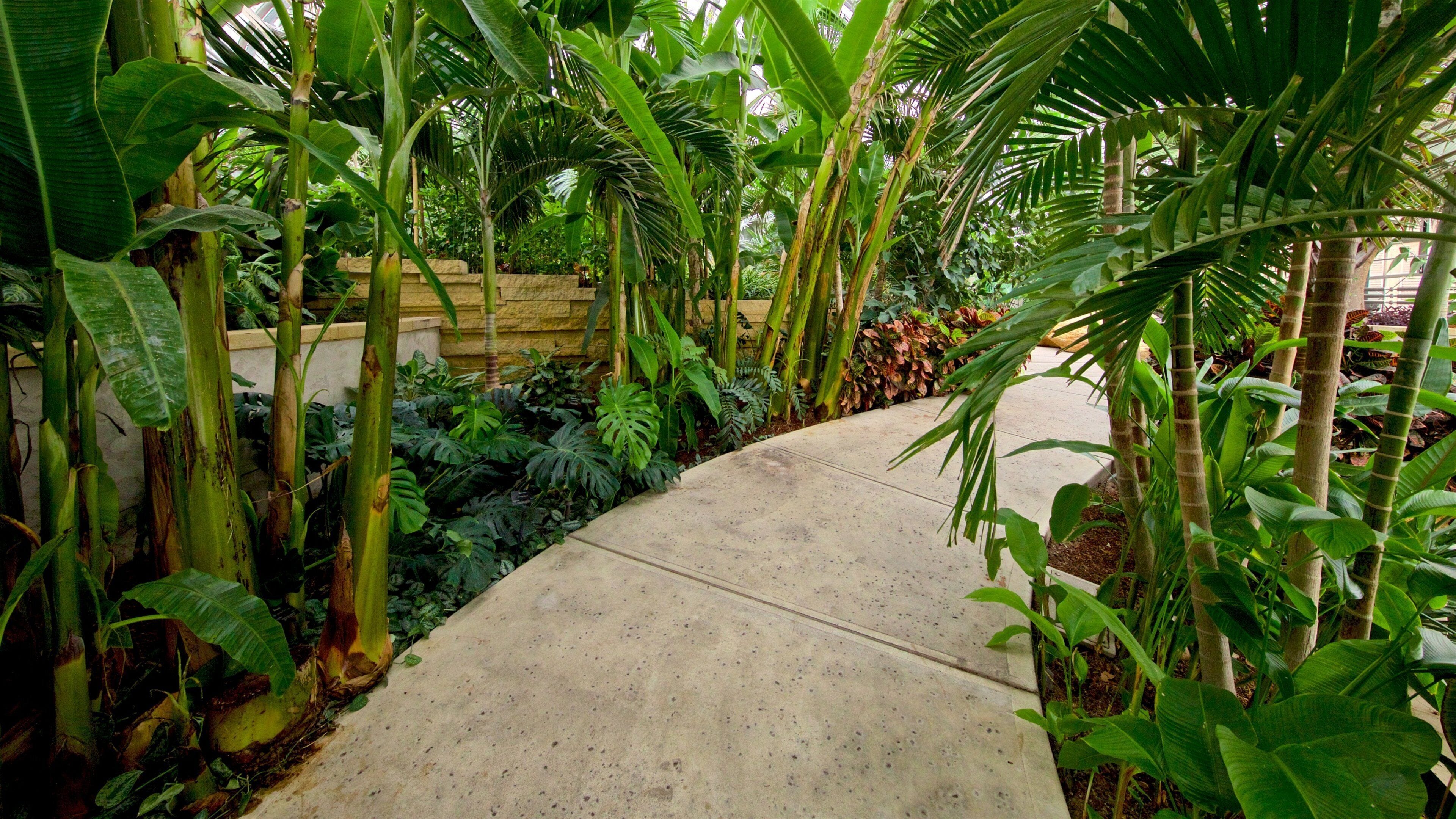 Lauritzen Gardens mostrando um jardim