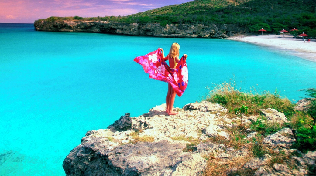 Spiaggia di Grote Knip