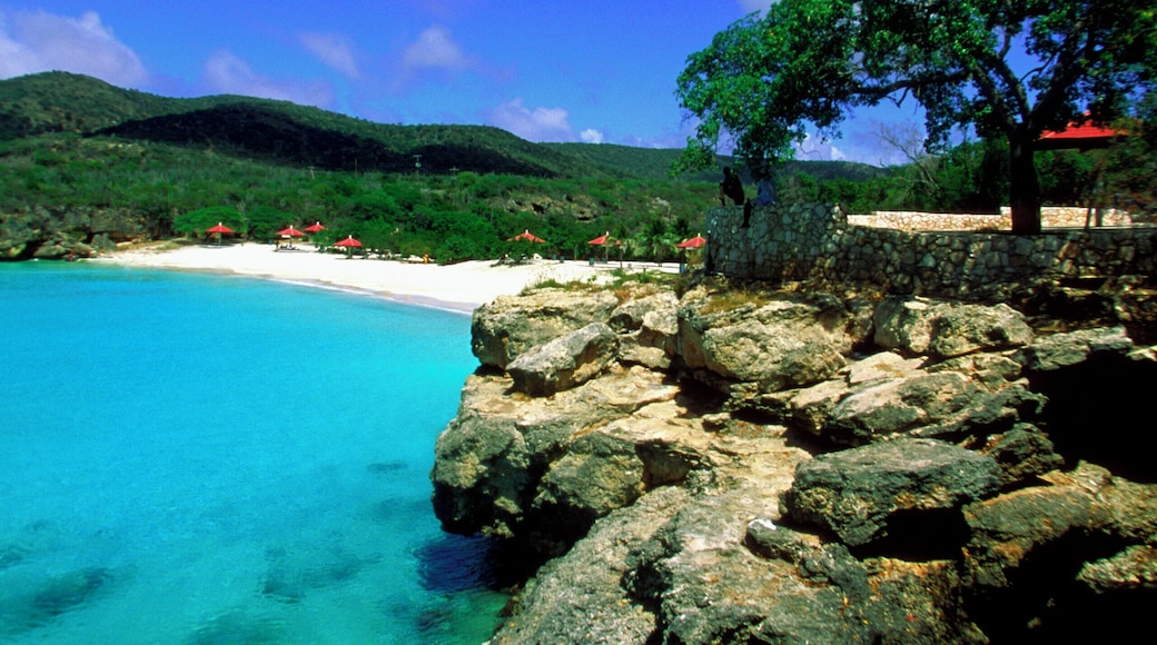 Spiaggia di Grote Knip
