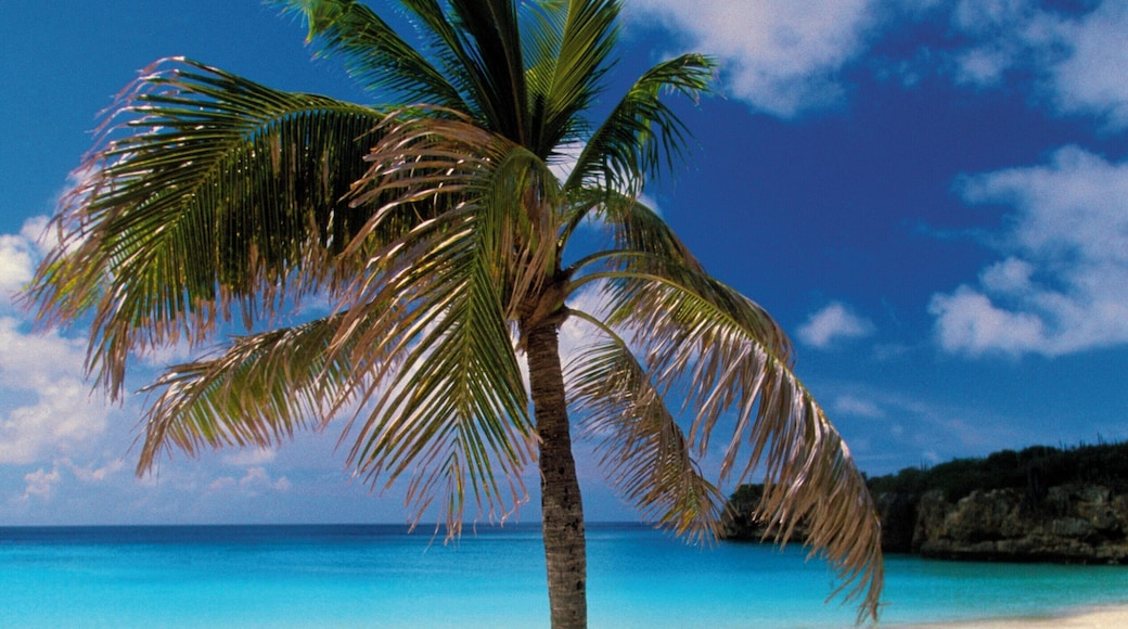 Spiaggia di Grote Knip