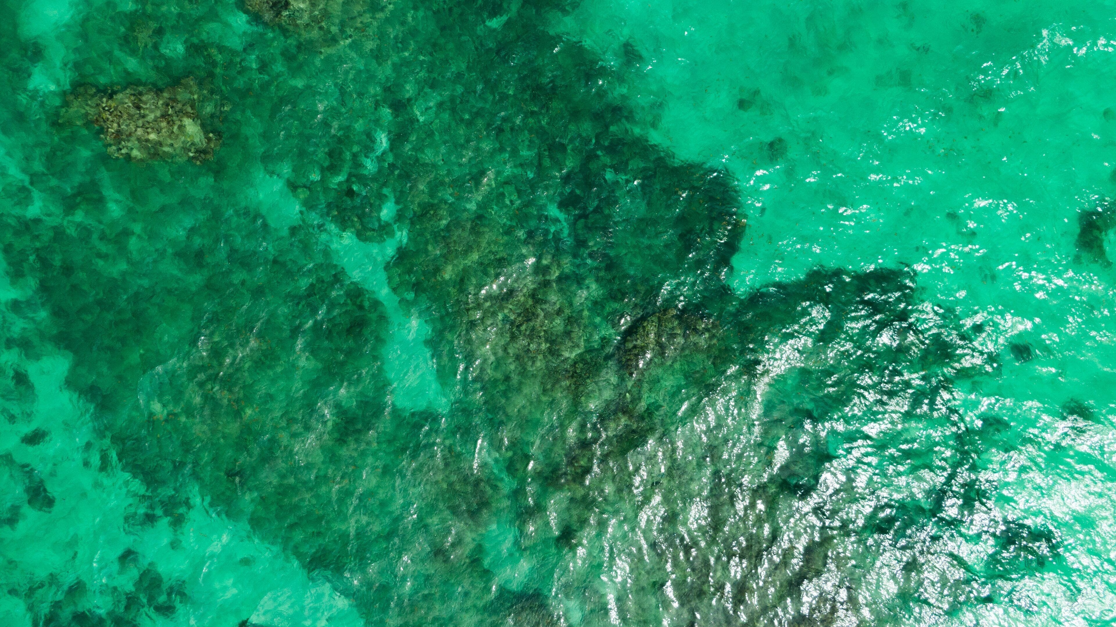 Dawn Beach showing general coastal views