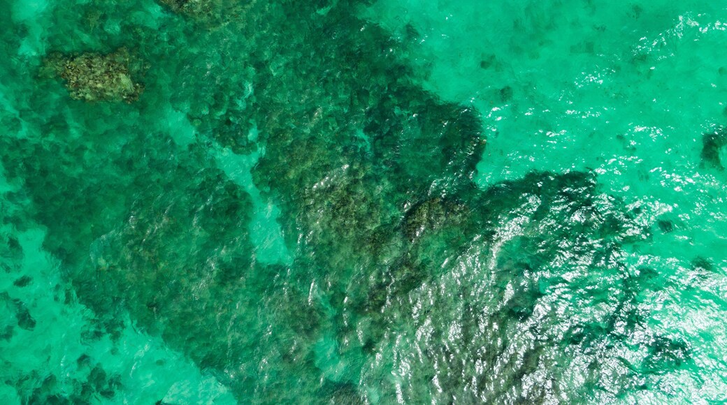 Dawn Beach showing general coastal views