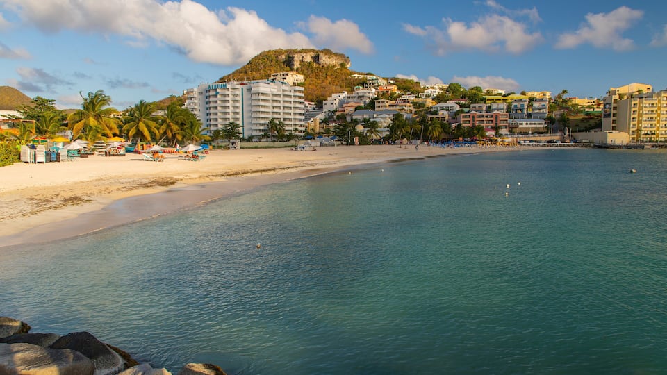 A coastal cityscape with a beach, palm trees, and a prominent hill with buildings.