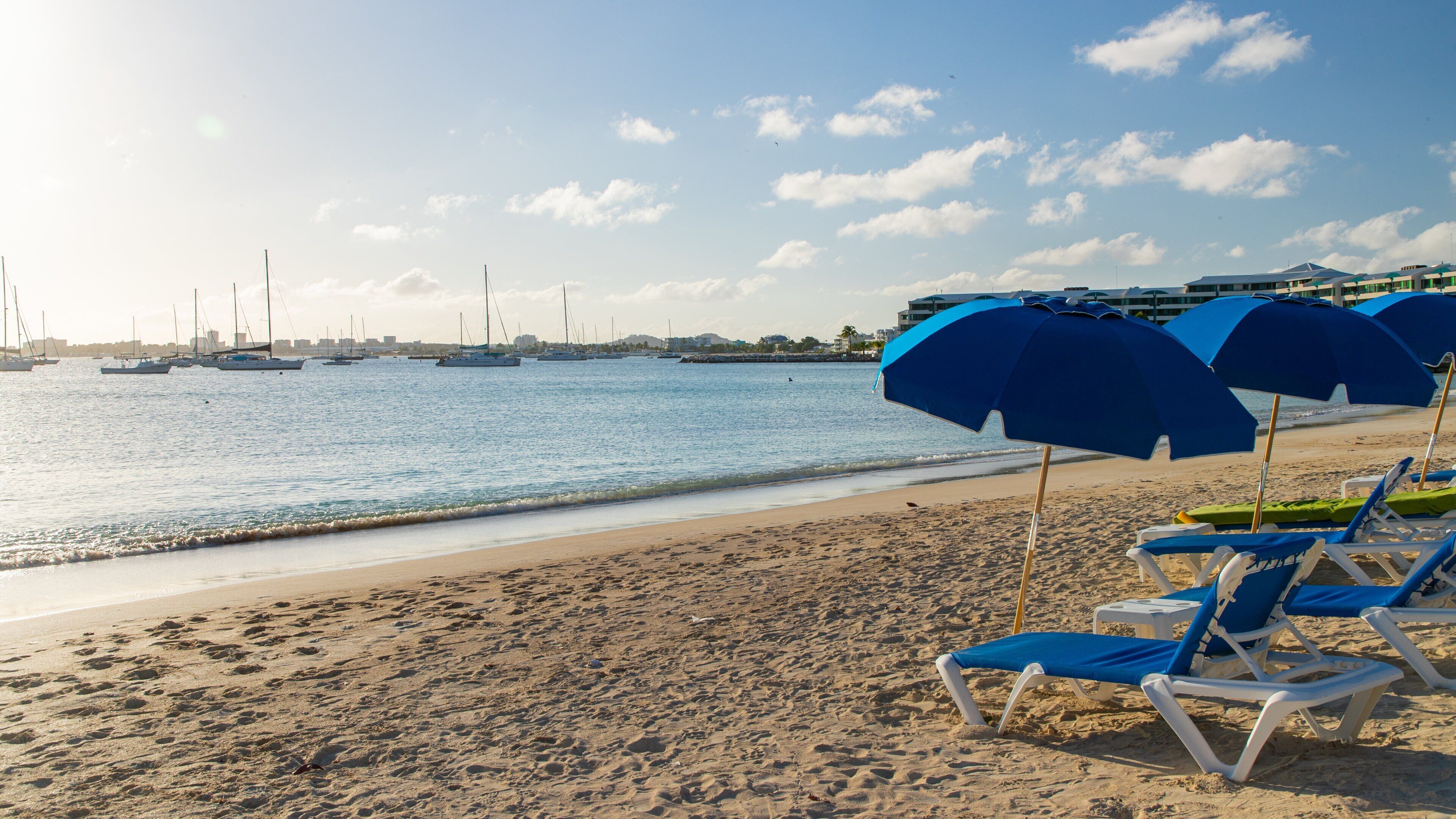 A beach with blue umbrellas and lounge chairs, a sandy shore, and sailboats in the water.
