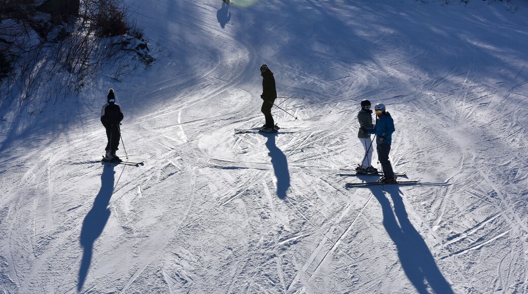 A snowy ski slope with skiers.